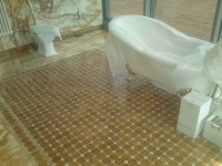 /album/fotogaleria-uvodna-stranka/dsc04849-jpg/